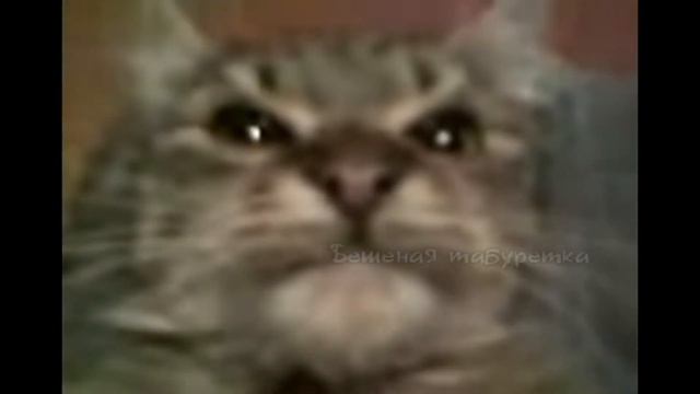 МЕМЫ НЕДЕЛИ #2. МЕМЫ МЕСЯЦА смотреть онлайн