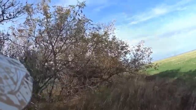 Охота на зайцев - Открытие «К шапочному разбору» смотреть онлайн