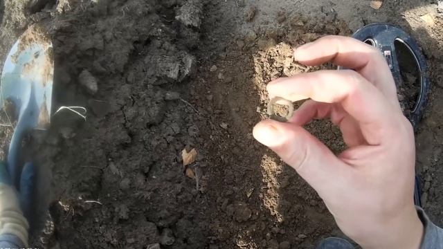 Свежий противопожарный ров и пауки - мутанты! смотреть онлайн
