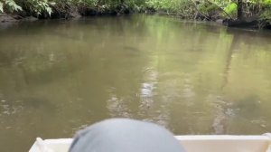 Лодка из пеноплекса?! Часть 1