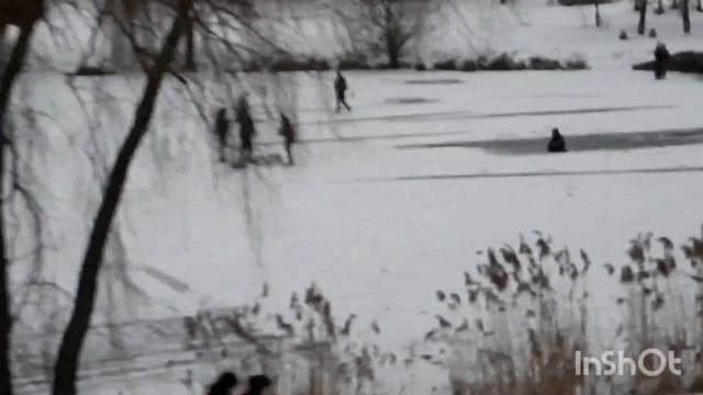 Жизнь в Киеве спальный район, каток прямо на озере, детвора радуется снегу! смотреть онлайн