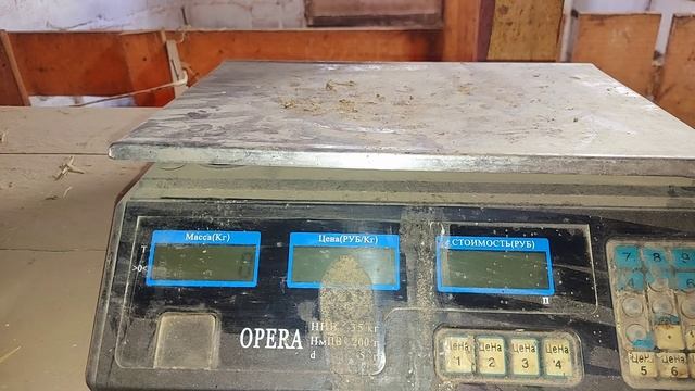 все равно у меня будет Касатка)) вес бройлера, поросята на откорме! смотреть онлайн
