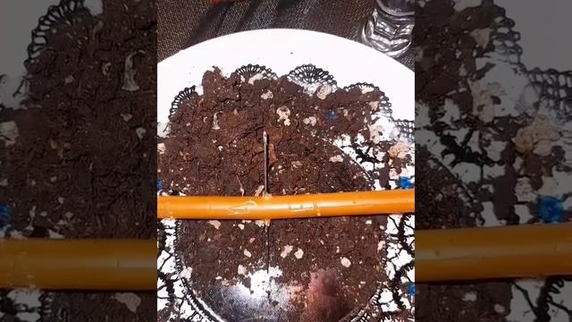 ♠️Месть своему врагу.Закрыть все пути-дороги♠️ Расплата за зло и подлость. смотреть онлайн