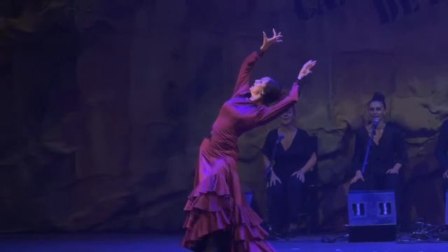 Sandra Cisneros por Taranto - SEMIFINAL CONCURSO DEL 61º FESTIVAL INTERNACIONAL CANTE DE LAS MINAS смотреть онлайн