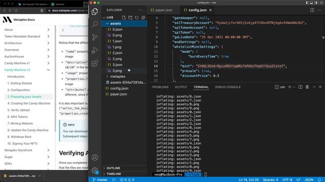Whitelist and Public Mint - Create Solana NFT Collection using Metaplex Candy Machine V2 смотреть онлайн