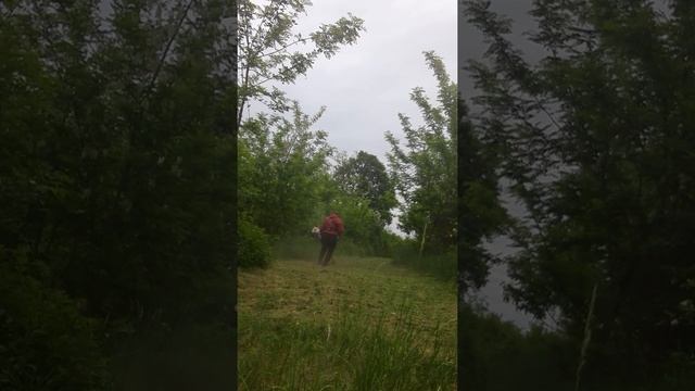 Stihl fs 350 смотреть онлайн