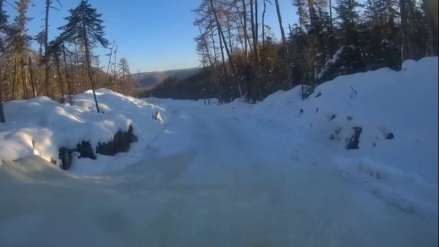 Следы зверей на деляне в тайге. смотреть онлайн