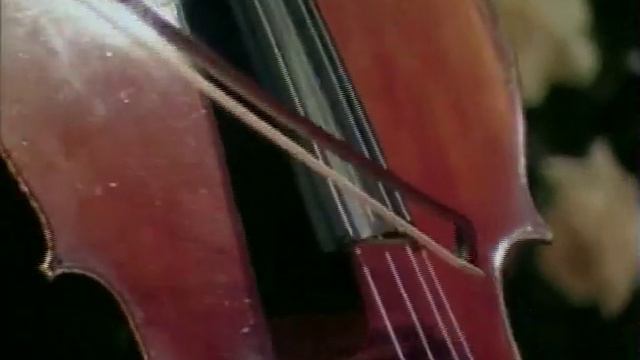 Kodaly Sonata 1st movement - extract смотреть онлайн