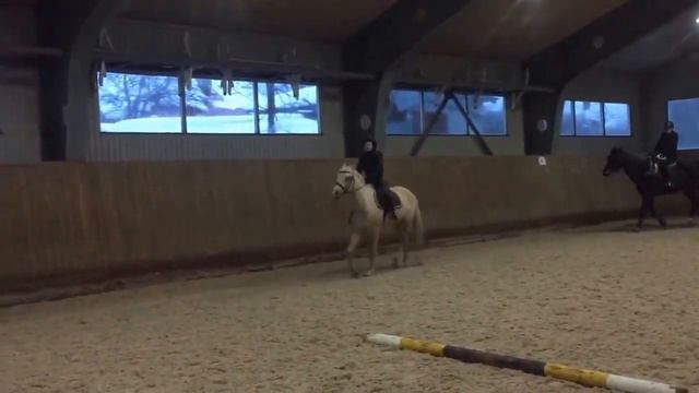 Ильин Матвей на пони Тип-Топ смотреть онлайн