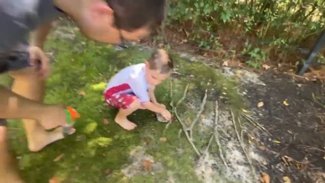 WATERPARK Vacuum BUG HUNT for KIDS!! SPIDERS, CENTIPEDES, Earwigs, Snails, SLIDES & MORE REAL BUGS! смотреть онлайн