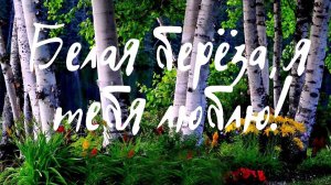 БЕЛАЯ БЕРЁЗА, Я ТЕБЯ ЛЮБЛЮ  / Разбор на гармони по цифрам