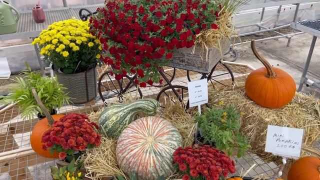 Konjoian's Mockup 1 смотреть онлайн