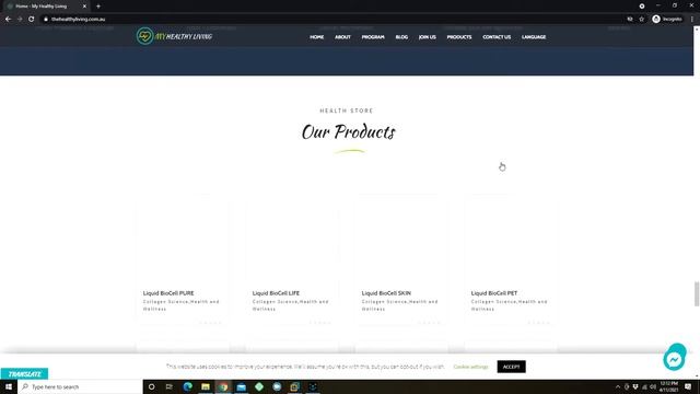 WordPress (Woocommerce) Project 1 смотреть онлайн