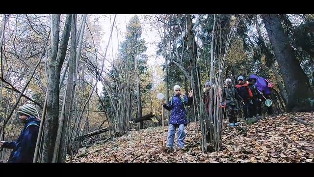 Представление педагогического опыта. Сушкова Ирина Владимировна смотреть онлайн