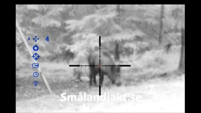 Gylta filmad med Digisight N770A смотреть онлайн