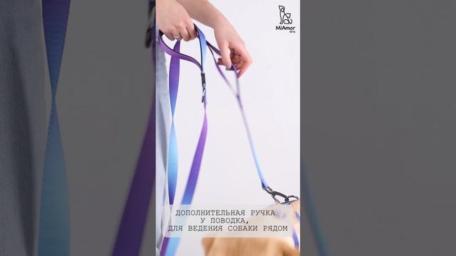 Видео для карточки товара Шлейки для собак смотреть онлайн
