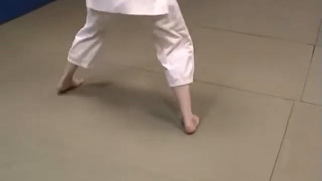 Aikido Tenkai Ashi