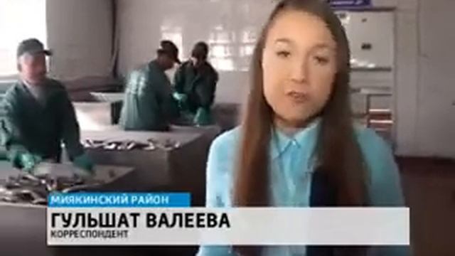 Рыбзавод, Миякинская Рыбная Компания, Рыба оптом от производителя. смотреть онлайн
