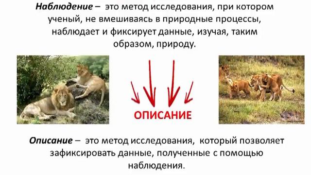 Y2mate.mx-Методы изучения природы _ Биология 5 класс #3 _ Инфоурок смотреть онлайн