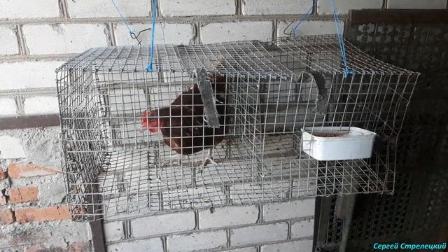 СтройЗагадки