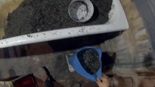Посев Мицелия на Субстрат формирование Грибного Блока для выращивания Грибов Вешенка смотреть онлайн