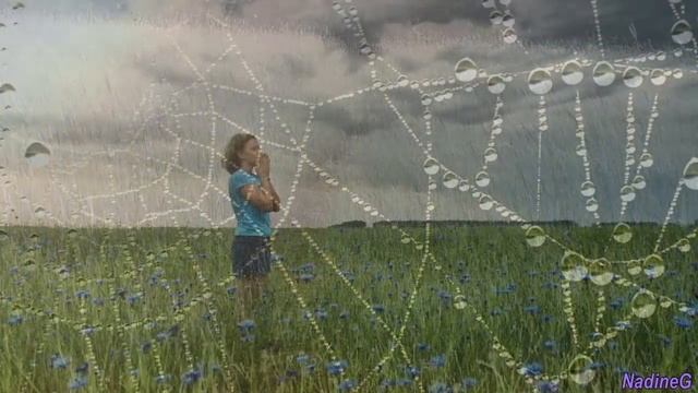 Васильки ??✿ смотреть онлайн