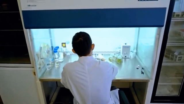 МНТЦ база специальностей бакалавриата международных отношений RU смотреть онлайн