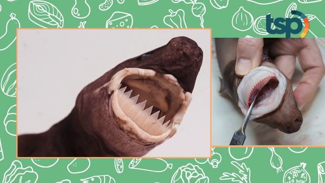 [ENG SUB] Nuclear Submarine Attacked by this Little Shark, Confusing the Crew! What happened? смотреть онлайн