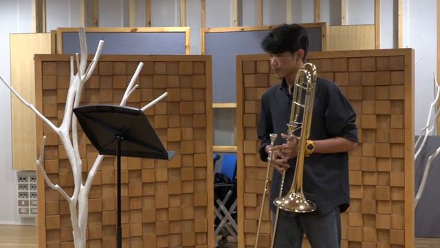 Swisstbone contest,Tenor Youg Talents, Ferdinand David’s Trombone concertino by Watthikorn Dipprako смотреть онлайн