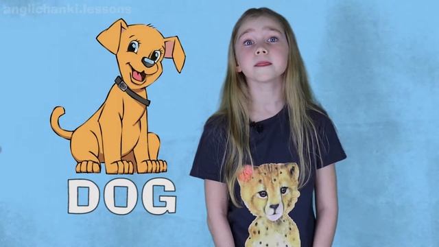 Животные на Английском. Animals. Учим животных. смотреть онлайн