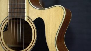 Alvarez Artist AG60CE Grand Auditorium Electro-Acoustic - Overview & Demo