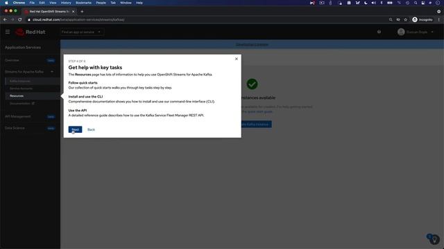 Getting Started with Red Hat OpenShift Streams for Apache Kafka смотреть онлайн
