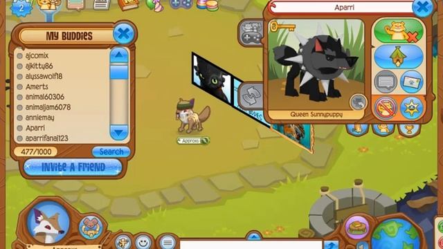 how to unbuddy famous jammers properly in animal jam смотреть онлайн