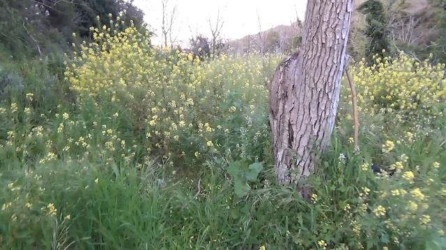 Кипр за три копейки. Достопримечательности Кипра.   Водопад Креммиолис