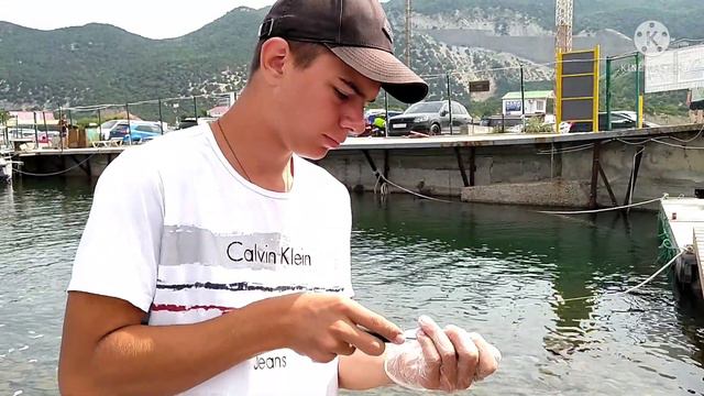 ПРОБУЕМ ЧЕРНОМОРСКИЕ #УСТРИЦЫ В УТРИШЕ смотреть онлайн