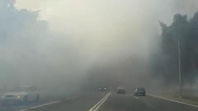 Трасса М5, Луховицы. Горит лес смотреть онлайн