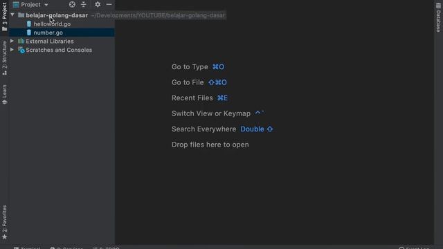 Belajar Go-Lang - 4 Tipe Data Boolean смотреть онлайн