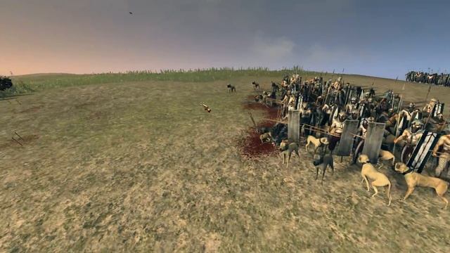 Самые Топовые Легионеры Цезаря! Мод - Rome Imperial Heavy Cohort - Rome Total War 2 смотреть онлайн