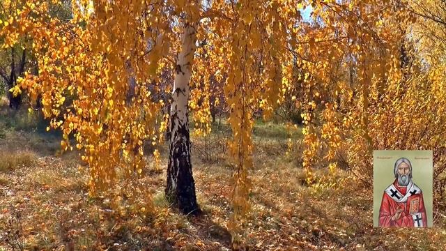 Толкование на Евангелие от Иоанна. Глава 1. Стих 14-20 / Феофилакт Болгарский смотреть онлайн