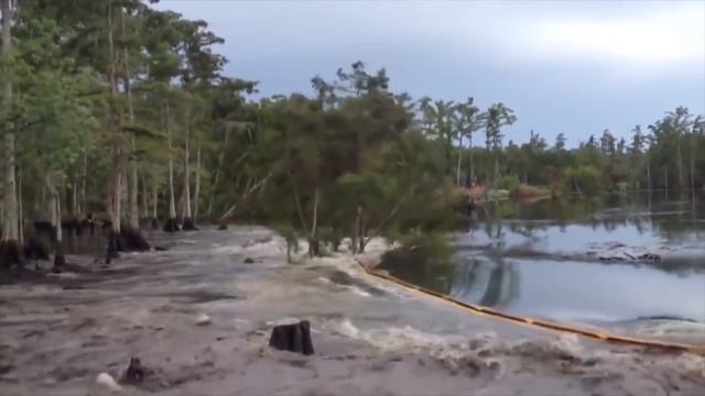 Если бы это не Сняли на Видео, Никто бы не Поверил смотреть онлайн
