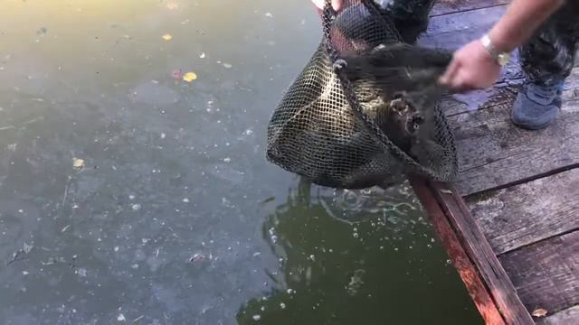 РК Фишка Липки смотреть онлайн