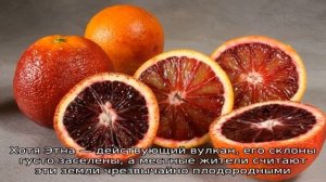 Как называется красный апельсин