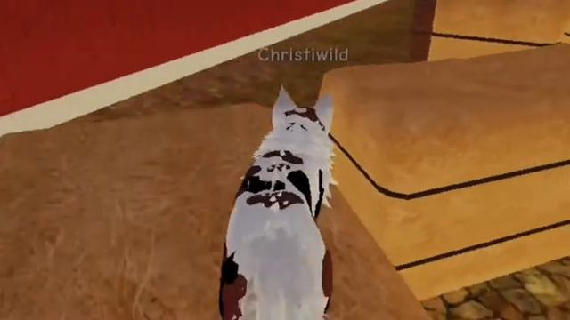 Бросаю канал? Будет ли продолжение мини-фильмов? Что будет с каналом?