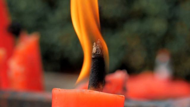 Dan Gibson’s Solitudes - Nurture the Fire | Feng Shui: Living in Natural Harmony смотреть онлайн
