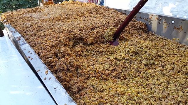 Подготовка винограда к приготовлению вина. 11 сент. В Бабушкиной Хате. смотреть онлайн