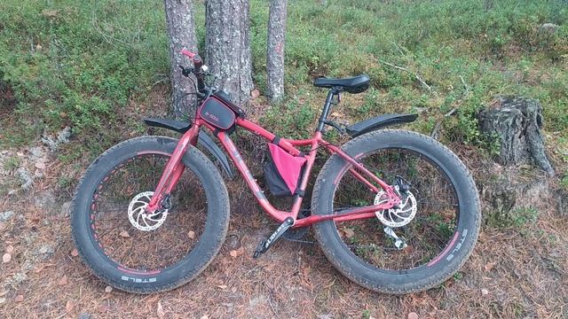 Фэтбайк STELS Aggressor 2020