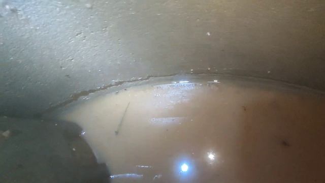 podkApaev. ст. Ягодка. Слонов купать можно, если с плывуном дружить. смотреть онлайн