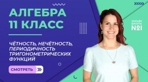 Урок 2.  Чётность, нечётность, периодичность тригонометрических функций. Алгебра 11 класс