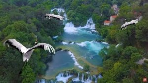 журавли летят  футаж 3 позиции