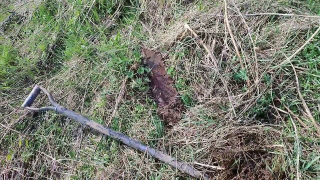 lv_0_20230429170410.mp4 смотреть онлайн